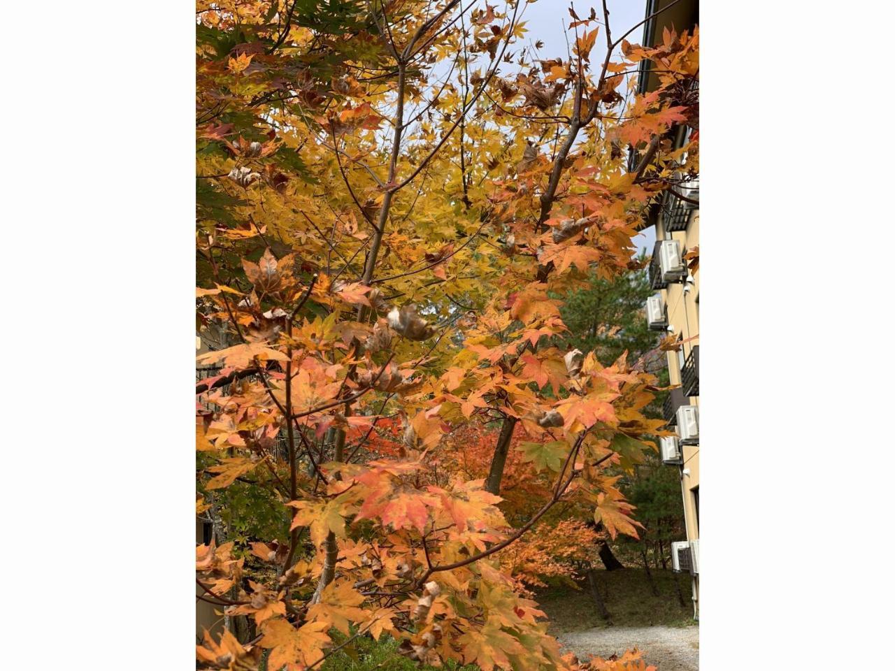 Zao Shikitei 호텔 Shiroishi  외부 사진